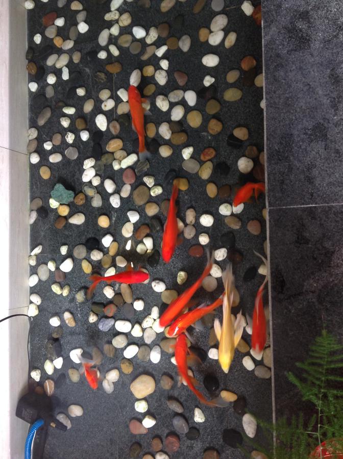 Zhantan Courtyard Hotel Beijing Exterior photo